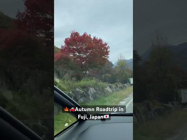 Autumn Roadtrip in Fuji, Japan