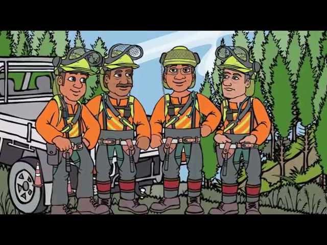 WorkSafe - Sonny Forestry Safety Video 2015