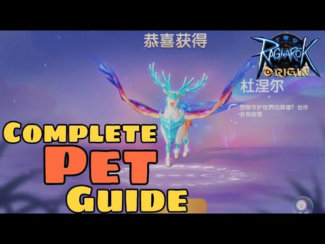 [Ragnarok Origin] PET COMPLETE GUIDE!