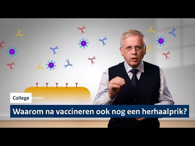 Ik ben gevaccineerd. Waarom heb ik een herhaalprik nodig? | College #2 met professor Van Dongen