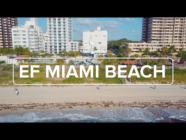 EF Miami Beach – Campus Tour