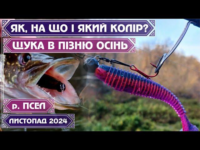 ️ЯК ЛОВИТИ ЩУКУ у КІЛЬКОСТІ в ПІЗНЮ ОСІНЬ⁉️ КОЛІР, ПРИМАНКИ, ТАКТИКА