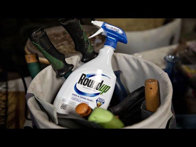 Bayer plans 'silver bullet' defense in Roundup brand cancer cases