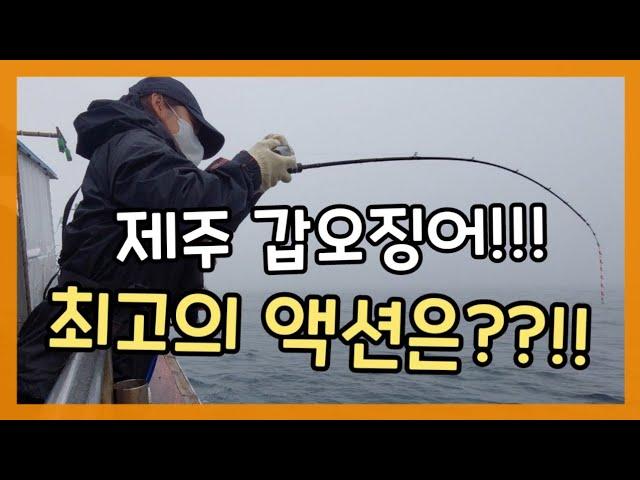 제주 갑오징어 최고의 액션은!!!???(#로구만 뵨스틱)