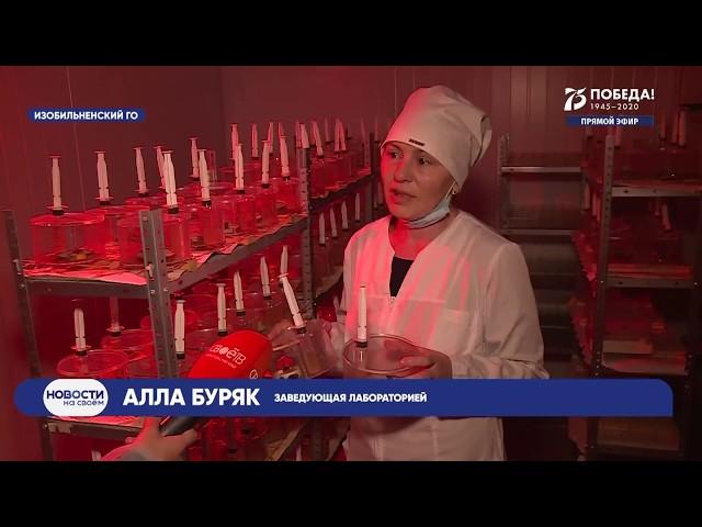 Новости Ставропольского края. Своё ТВ. Выпуск от 18.03.2020, 10:30