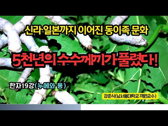 5천년의 수수께끼가 풀렸다! 신라·일본까지 이어진 동이족 문화 (한자19강)(누에와 용)