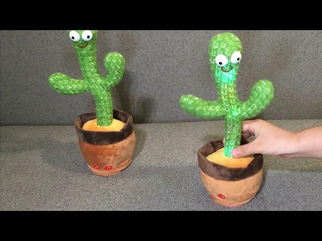 dancing cactus toy comming!!!