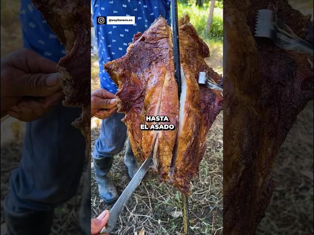 #llano #asado #carne #ganaderia #caballos #vacas