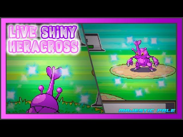 [LIVE] Shiny Heracross after 14263 HBs in SoulSilver