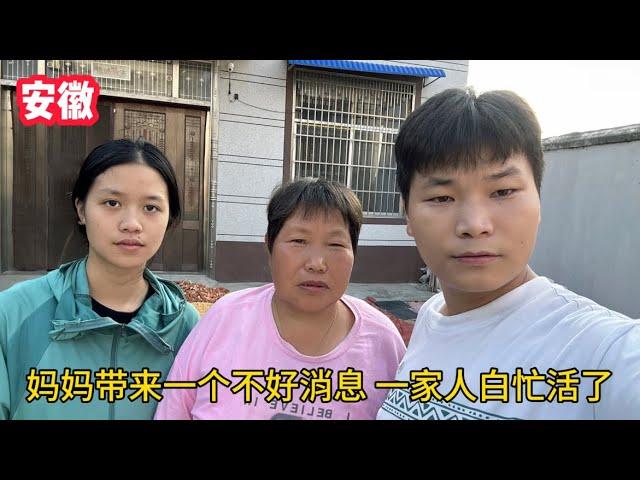 農民到底有多不容易？媽媽帶來玉米暴跌消息，一家人感覺白忙活了