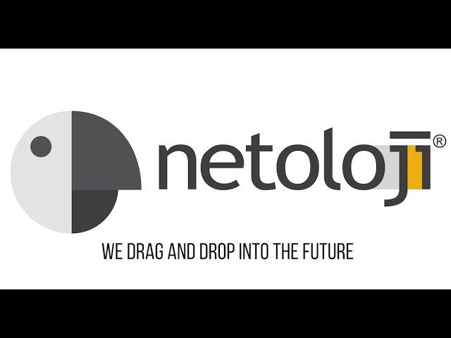 Netoloji E-Flow BPM