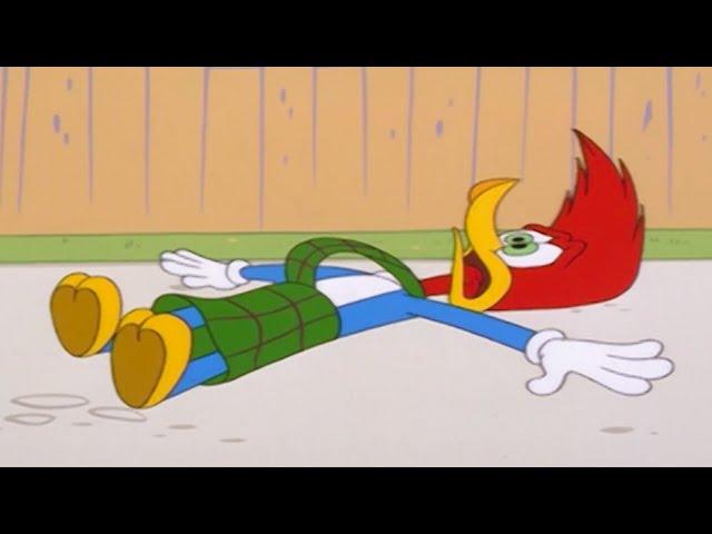 Woody's TV Is Broken | Woody Woodpecker