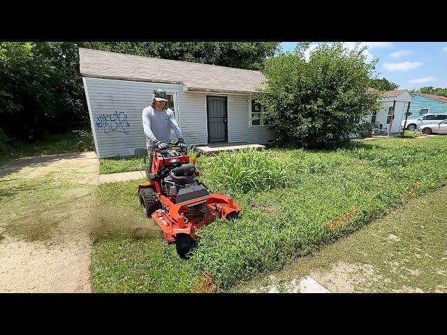 This house was STRIPPED EMPTY and the lawn became a HUGE PROBLEM