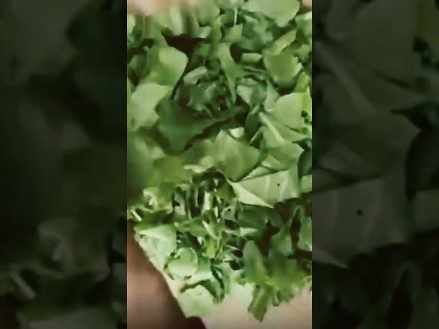 Healthy Spinach and Beetroot Puree #trending #cookingideas #cookingforkids #DeekshaDazzlingVlogs