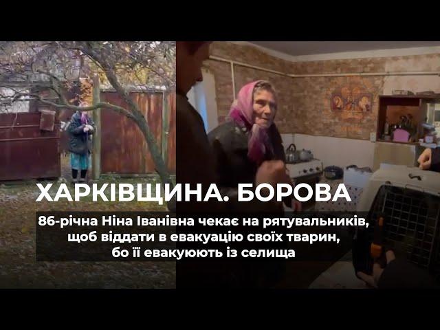 БОРОВА | 86-річна жінка чекає на рятувальників, щоб віддати в евакуацію тварин, бо її евакуюють