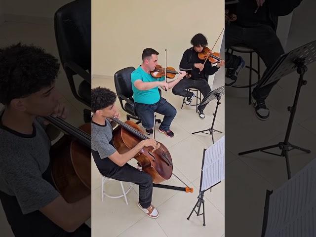 Instrumentos produzidos no Atelier dos violinos