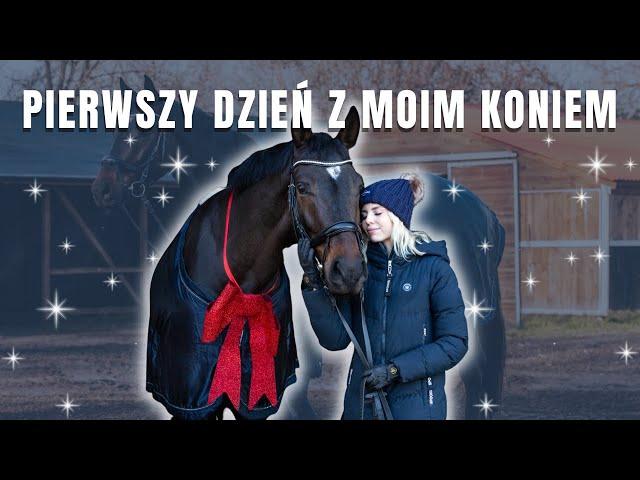 PIERWSZY DZIEŃ QUEVEDO W NOWEJ STAJNI ️ | Był grzeczny? 