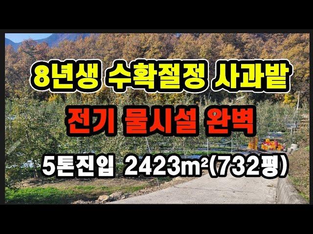 #154물시설 완벽한 사과과수원#의성땅#의성부동산#군위땅#군위부동산#안동땅#의성땅매매#군위땅매매#경북땅