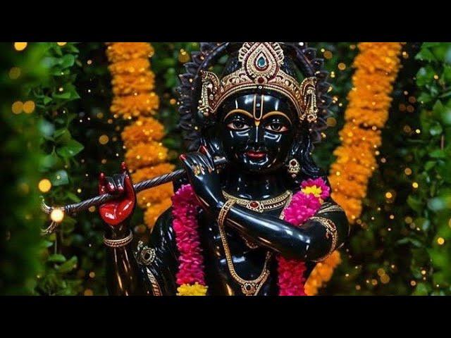 Premkali Vinod Gupta is live!