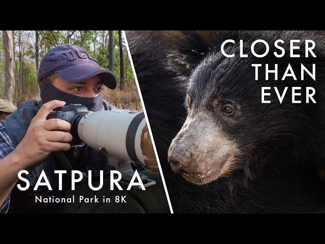 Wildlife Photography in Satpura National Park | TIGER COUNTRY Ep. 3 - New Life (Canon R5 8K)