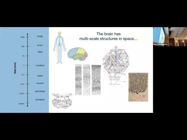 NeuroHackademy 2022: Bing Brunton - Neural decoding in the wild