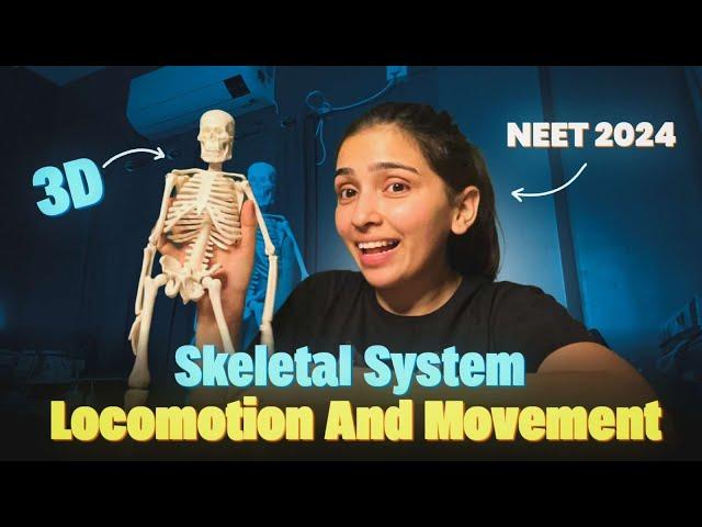 Skeletal System with 3D Model- Locomotion and Movement | NEET 2024- Class 11