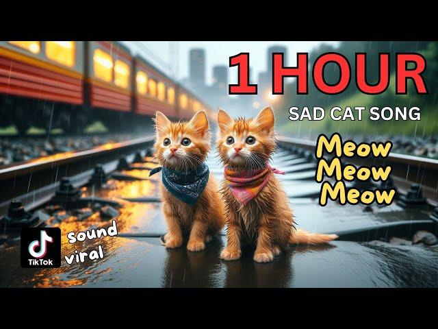 Meow Meow Meow Sad Song 1 Hour Compilation #cat #cute #catlover #cutecat #aicat #meow