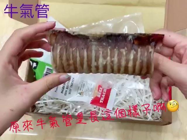 【BFF猋友 天然寵物零食-牛氣管】我家小狗磨牙期終於不啃傢俱了，直接轉移目標而且還愈啃愈香~