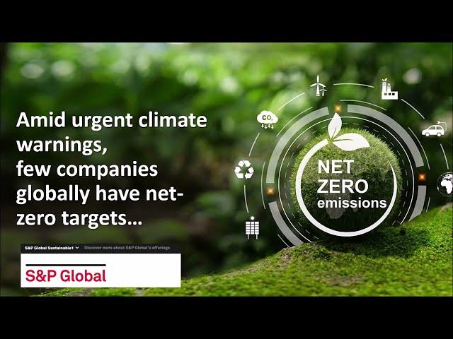 Companies and climate change targets