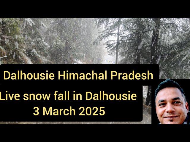 Live snow fall in Dalhousie 3 March 2025!! Places to visit in Dalhousie Himachal Pradesh