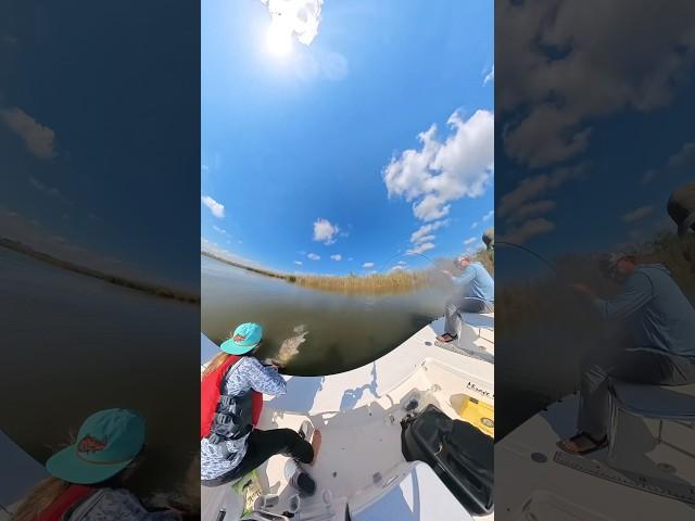Sight fishing BLACK 