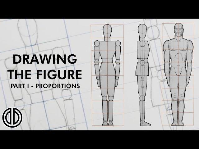 Drawing the Human Figure! - Proportions - Tutorial [PART I]