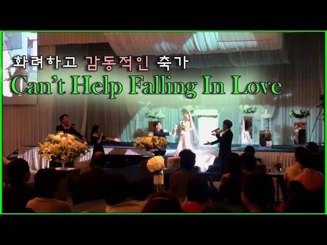 Can't Help Falling In Love 부산울산 결혼식축가