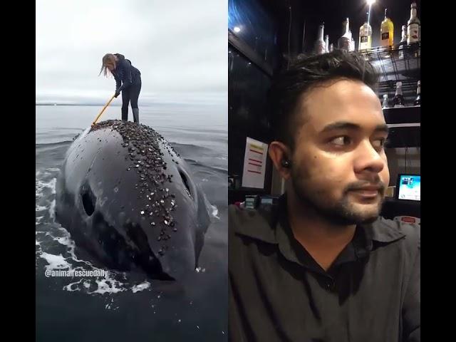 Whale #whale #drama #ocean #dramachannel #video