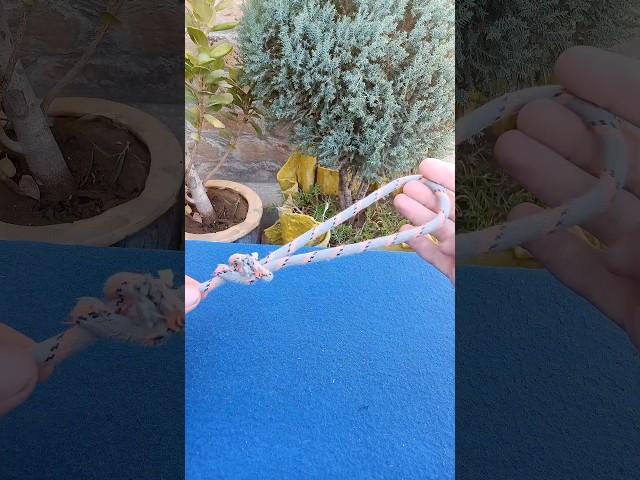 Strong loop knot for camping