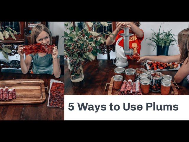 5 Ways to Use Plums