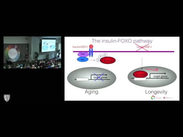 Approaching the Second Half: The Latest Research on Longevity and Aging; By Anne Brunet, PhD