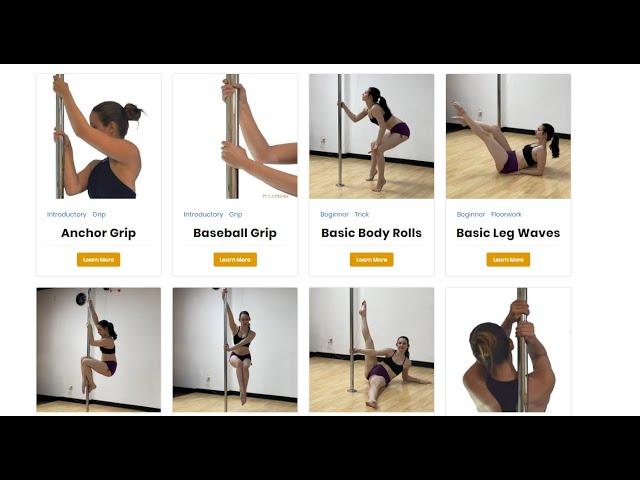 Pole Dance Move Dictionary - PolePedia | NOW LIVE