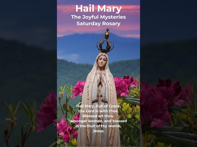 Hail Mary Rosary Prayer - Saturday Rosary - Joyful Mysteries - Our Lady of Fatima - Peaceful Sunrise