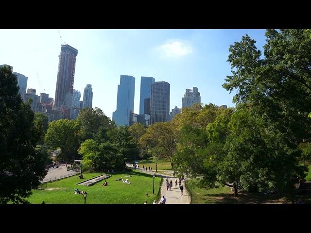 NewYork Central Park Video Footage | Free Stock Footage HD | NoCopyrightVideos - Stock Videos [2022]