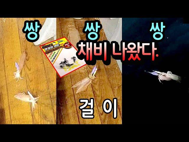 한치 쌍걸이채비 완성품 나왔습니다.4세트 2500원 사용방법 단차 주는법  #한치 낚시#한치 채비#선상낚시