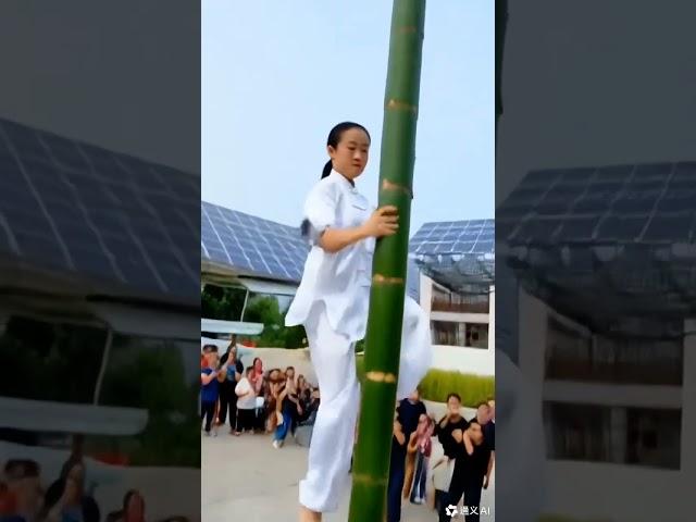 Chinese Kung Fu Master Boo Absurd Videos