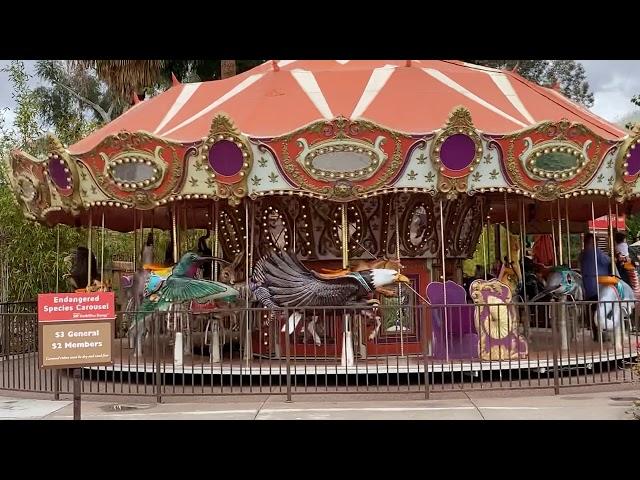 Carousel at Phoenix Zoo