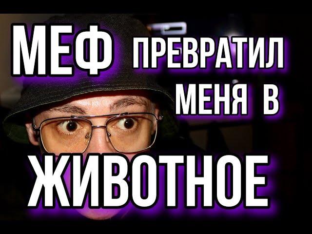 мефедрон превратил меня в животное | как я опустился | история бывшего наркомана | Муха восемь 18+