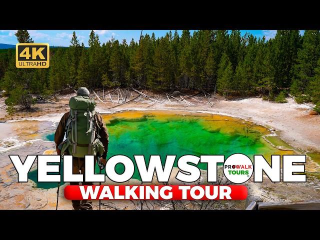 Yellowstone National Park Tour: Norris Geyser Basin  | 4K60fps