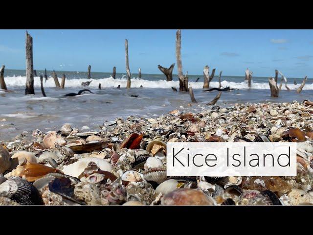 Does wind help you find shells? Let's explore an uninhabited island and find out!