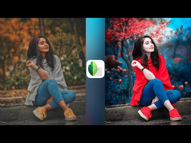 Snapseed background change photo editing | Background change photo editing | Photo Editing