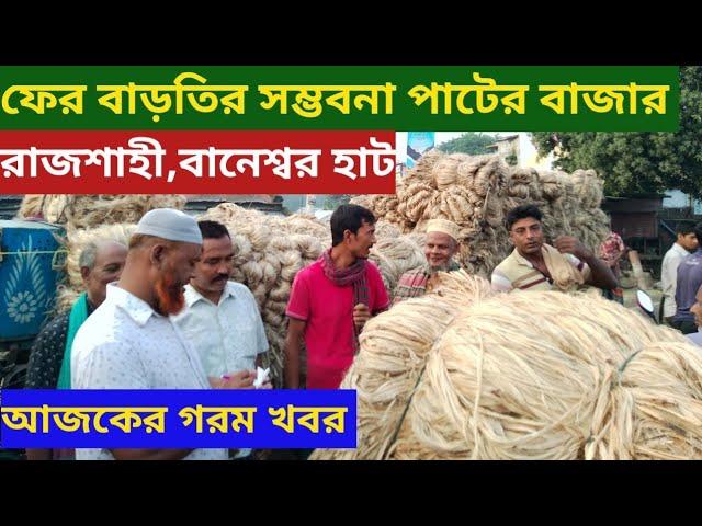 19/11/2024, কিছুটা বাড়ছে পাটের পাইকারি বাজার দর। রাজশাহী বানেশ্বর বাজার। Jute market