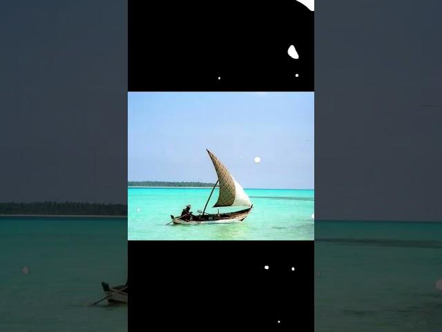 5 reasons why you should consider visiting Lakshadweep