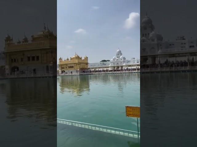 Golden Temple Darshan In Early Morning